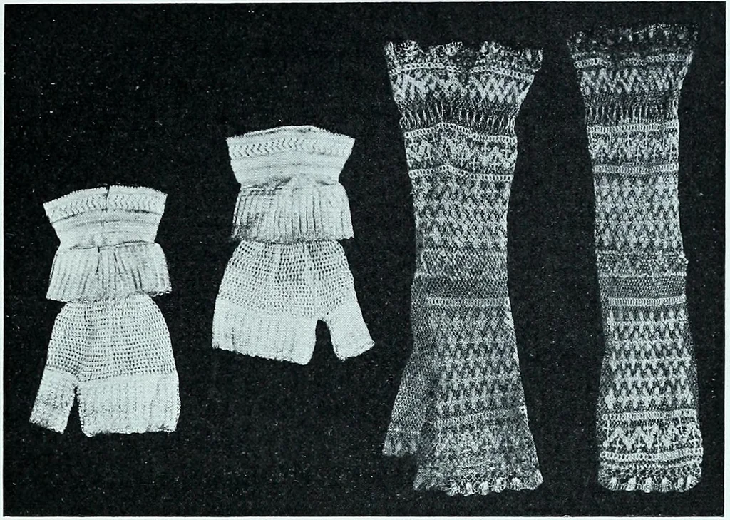 An illustration from Two centuries of costume in America, MDCXX-MDCCCXX, 1903, leaf 388