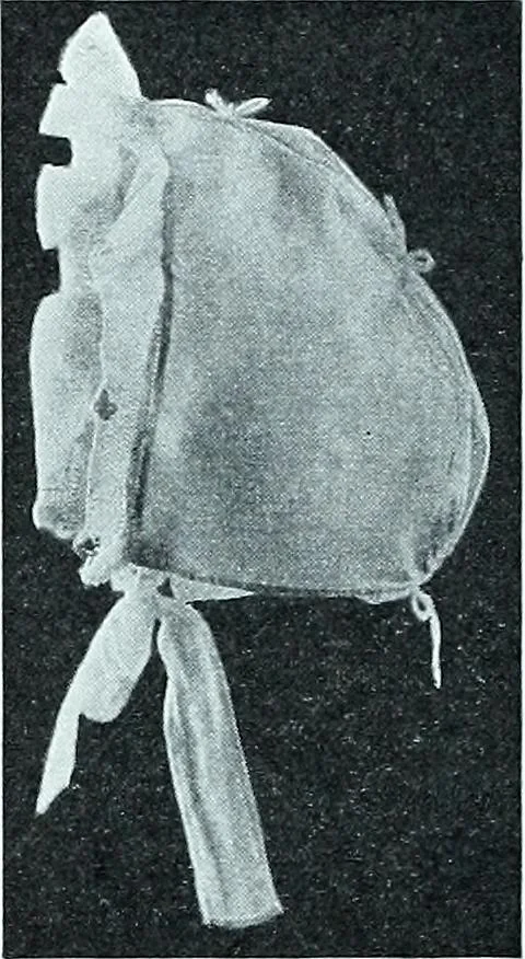 An illustration from Two centuries of costume in America, MDCXX-MDCCCXX, 1903, leaf 396