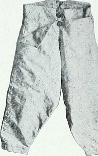 An illustration from Two centuries of costume in America, MDCXX-MDCCCXX, 1903, leaf 407