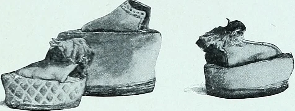 An illustration from Two centuries of costume in America, MDCXX-MDCCCXX, 1903, leaf 460