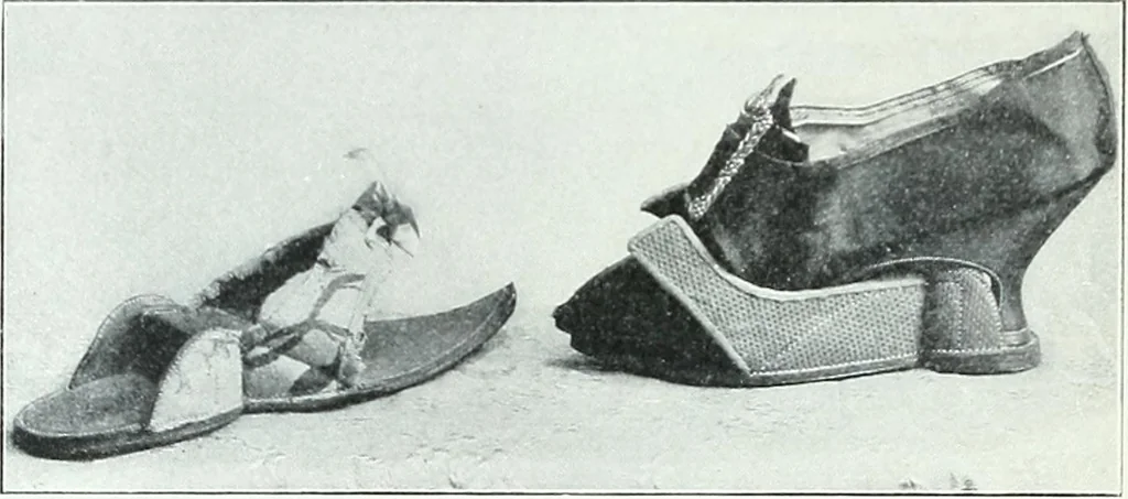 An illustration from Two centuries of costume in America, MDCXX-MDCCCXX, 1903, leaf 461