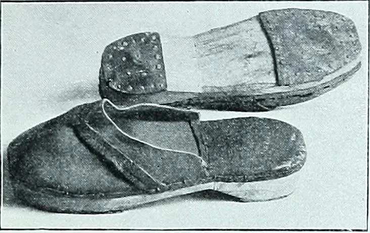 An illustration from Two centuries of costume in America, MDCXX-MDCCCXX, 1903, leaf 462