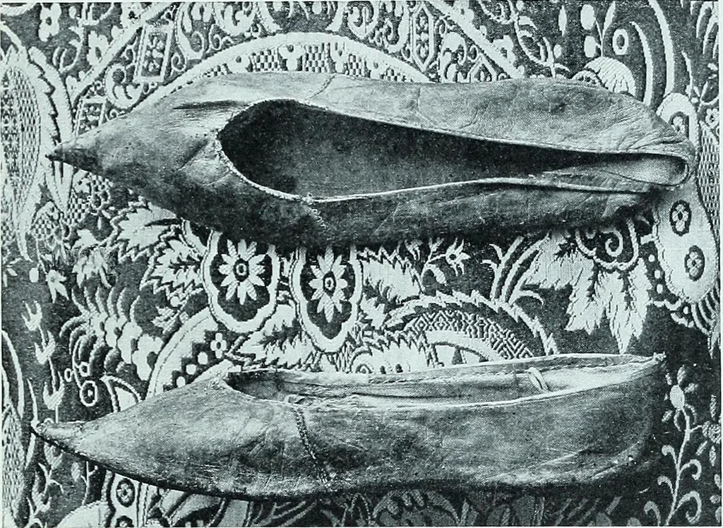 An illustration from Two centuries of costume in America, MDCXX-MDCCCXX, 1903, leaf 470