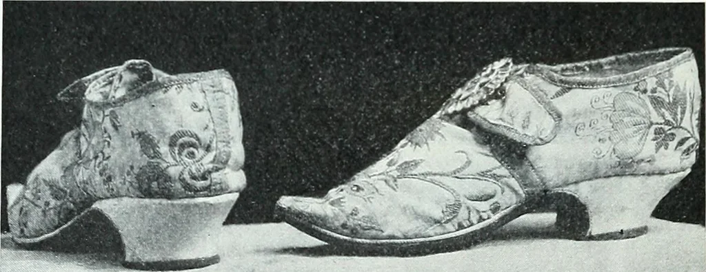 An illustration from Two centuries of costume in America, MDCXX-MDCCCXX, 1903, leaf 479