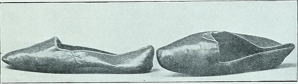 An illustration from Two centuries of costume in America, MDCXX-MDCCCXX, 1903, leaf 486