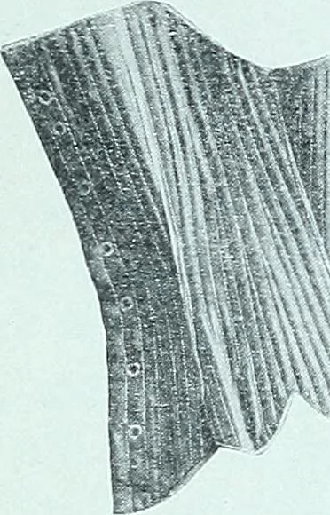 An illustration from Two centuries of costume in America, MDCXX-MDCCCXX, 1903, leaf 176
