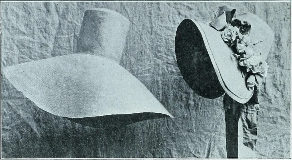 An illustration from Two centuries of costume in America, MDCXX-MDCCCXX, 1903, leaf 277