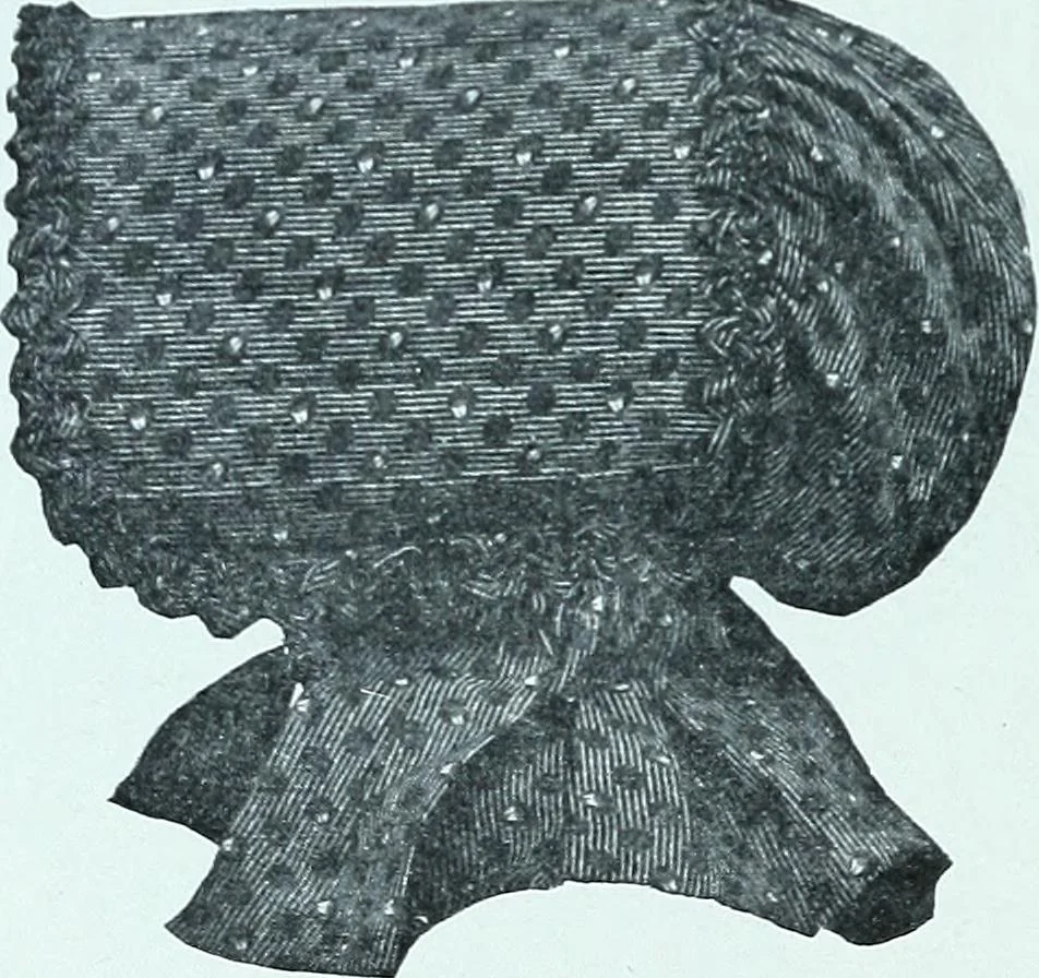 An illustration from Two centuries of costume in America, MDCXX-MDCCCXX, 1903, leaf 287