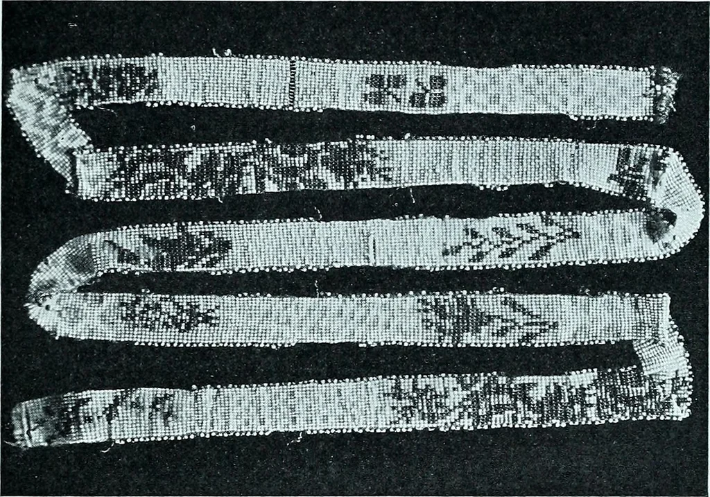 An illustration from Two centuries of costume in America, MDCXX-MDCCCXX, 1903, leaf 298