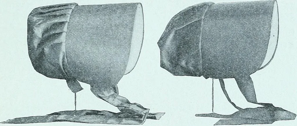 An illustration from Two centuries of costume in America, MDCXX-MDCCCXX, 1903, leaf 316