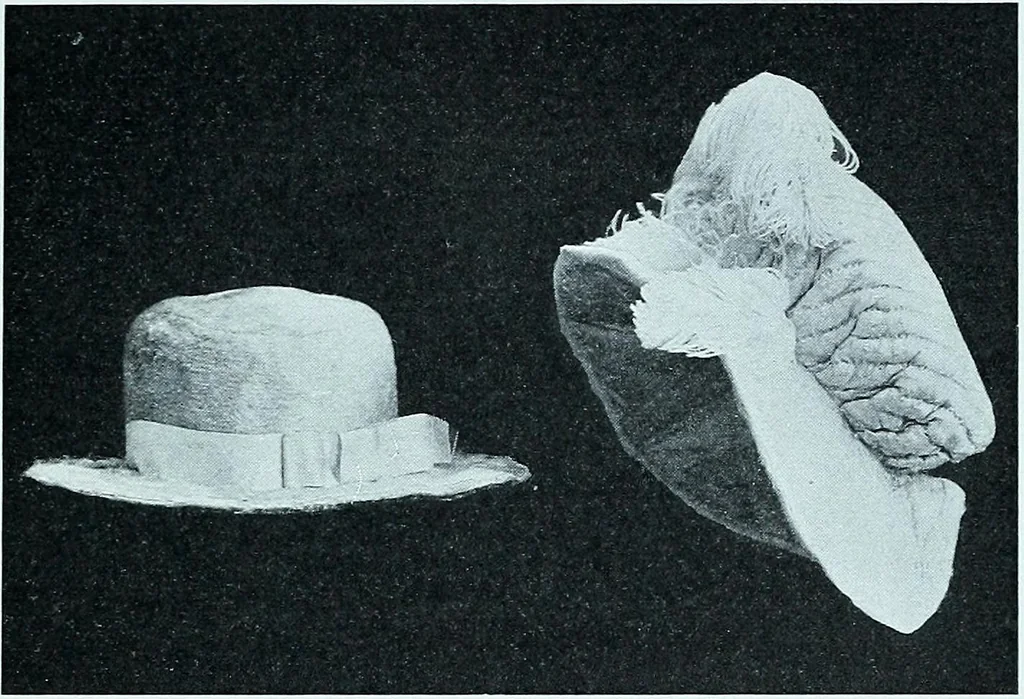 An illustration from Two centuries of costume in America, MDCXX-MDCCCXX, 1903, leaf 346