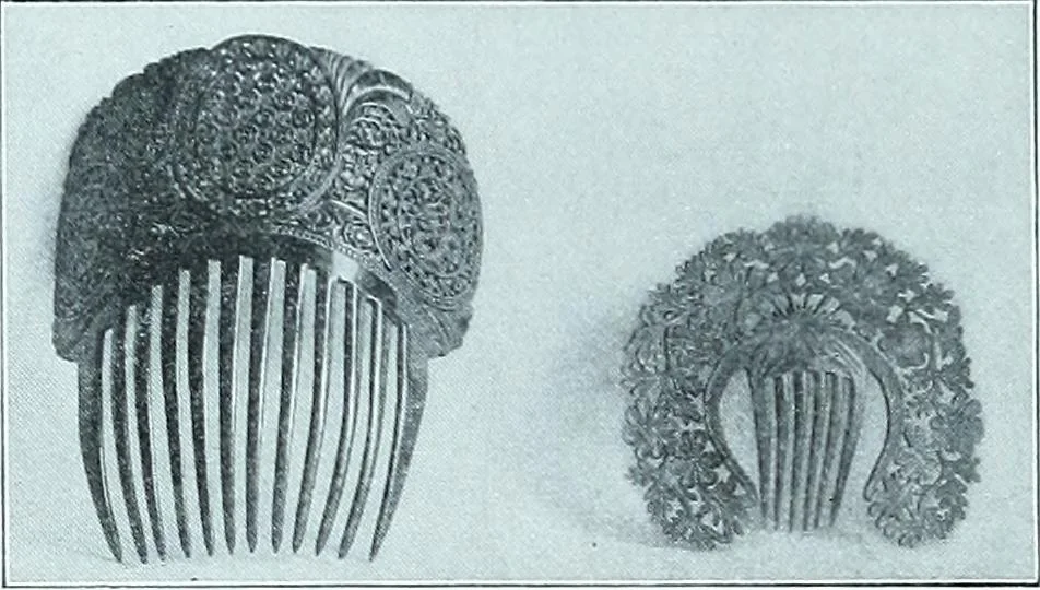 An illustration from Two centuries of costume in America, MDCXX-MDCCCXX, 1903, leaf 353