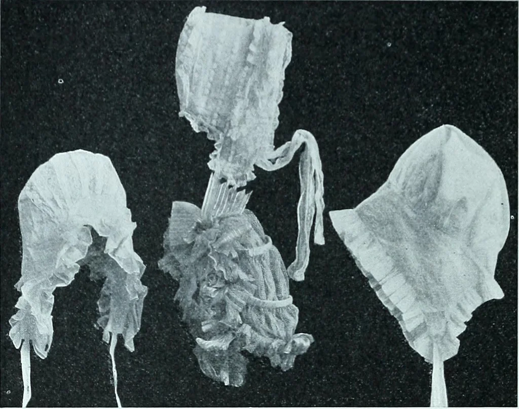 An illustration from Two centuries of costume in America, MDCXX-MDCCCXX, 1903, leaf 355