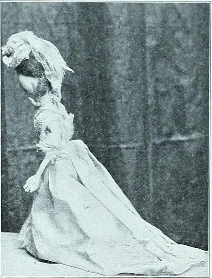 An illustration from Two centuries of costume in America, MDCXX-MDCCCXX, 1903, leaf 379