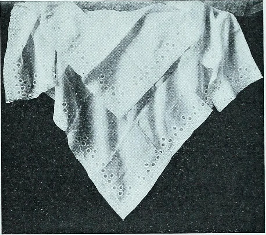 An illustration from Two centuries of costume in America, MDCXX-MDCCCXX, 1903, leaf 426