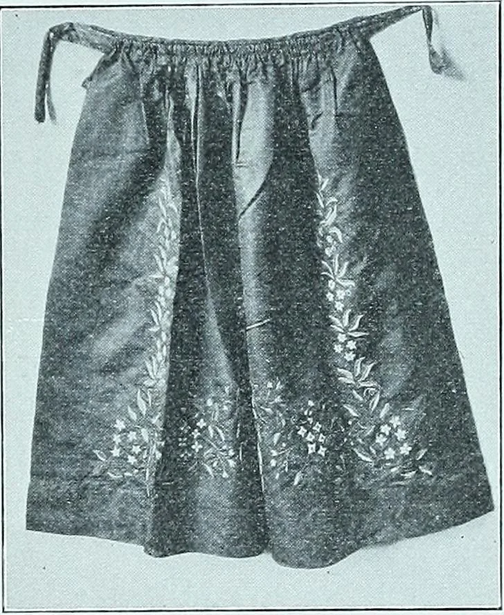 An illustration from Two centuries of costume in America, MDCXX-MDCCCXX, 1903, leaf 432