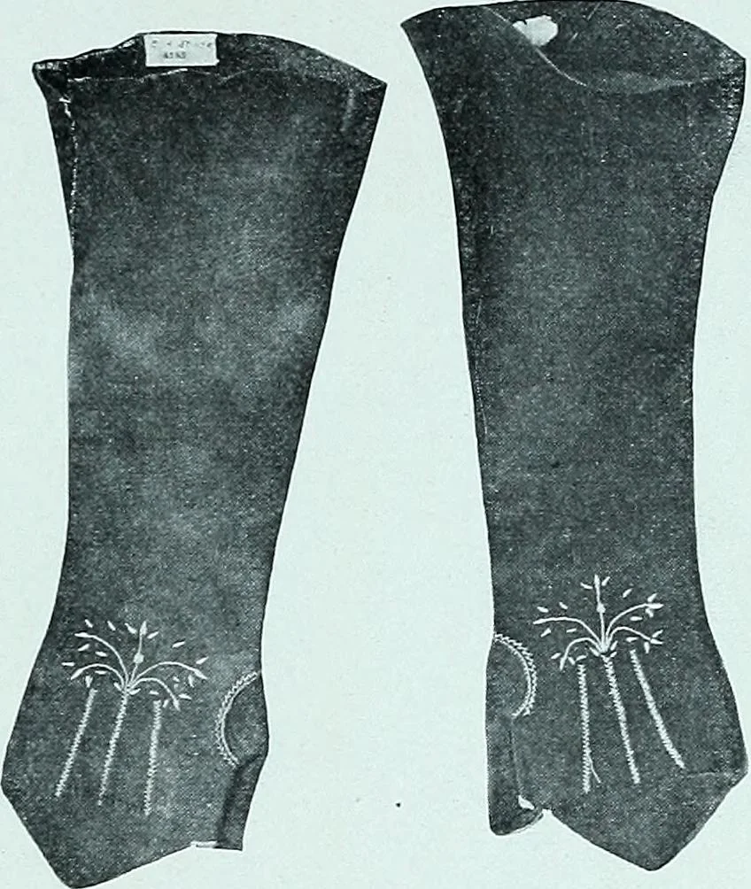 An illustration from Two centuries of costume in America, MDCXX-MDCCCXX, 1903, leaf 554