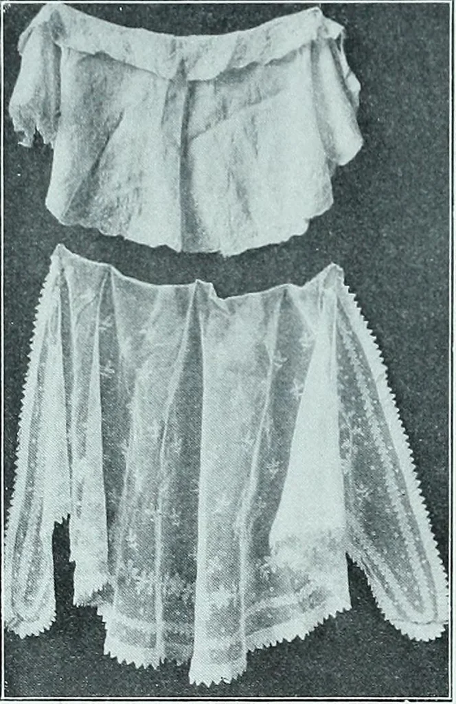 An illustration from Two centuries of costume in America, MDCXX-MDCCCXX, 1903, leaf 561