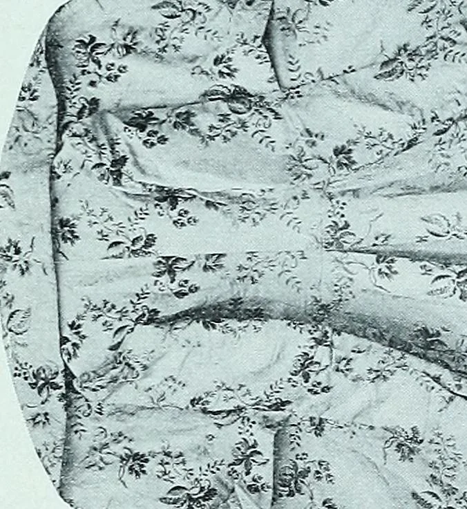 An illustration from Two centuries of costume in America, MDCXX-MDCCCXX, 1903, leaf 86