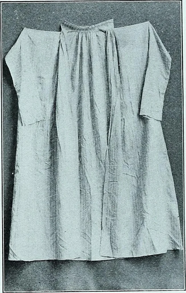 An illustration from Two centuries of costume in America, MDCXX-MDCCCXX, 1903, leaf 94