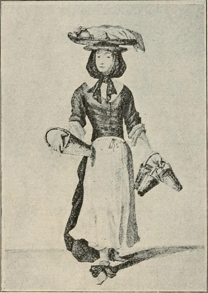 An illustration from Two centuries of costume in America, MDCXX-MDCCCXX, 1903, leaf 317