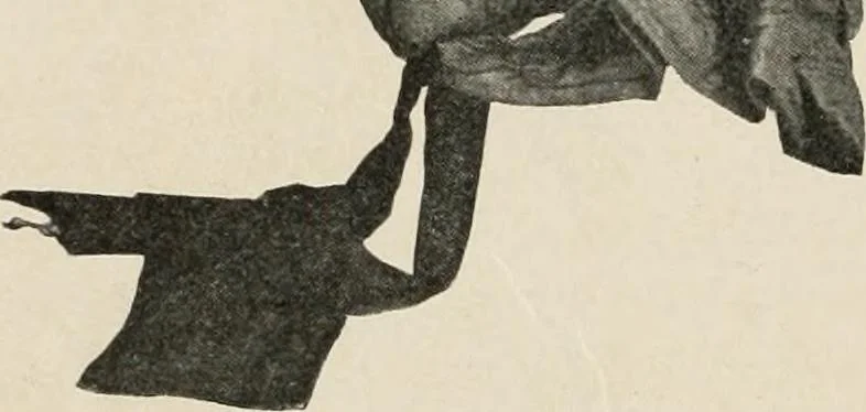 An illustration from Two centuries of costume in America, MDCXX-MDCCCXX, 1903, leaf 319