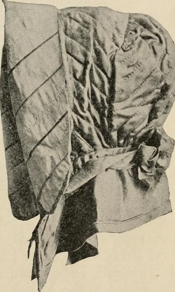 An illustration from Two centuries of costume in America, MDCXX-MDCCCXX, 1903, leaf 322