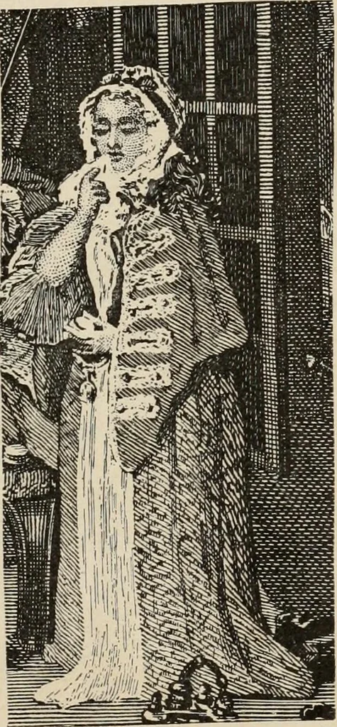 An illustration from Two centuries of costume in America, MDCXX-MDCCCXX, 1903, leaf 338