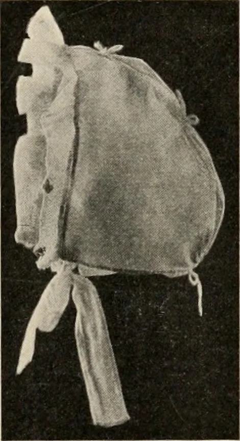 An illustration from Two centuries of costume in America, MDCXX-MDCCCXX, 1903, leaf 396