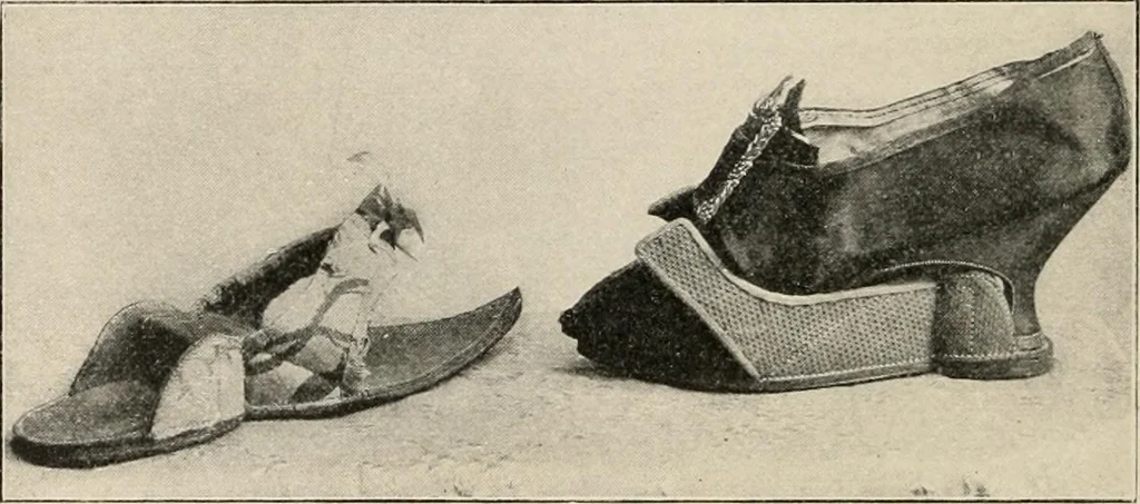 An illustration from Two centuries of costume in America, MDCXX-MDCCCXX, 1903, leaf 461