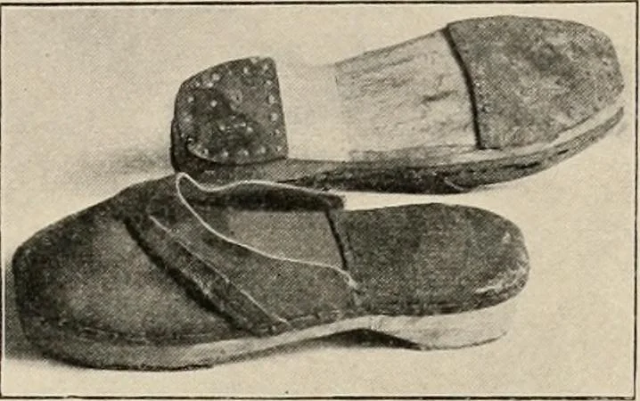 An illustration from Two centuries of costume in America, MDCXX-MDCCCXX, 1903, leaf 462
