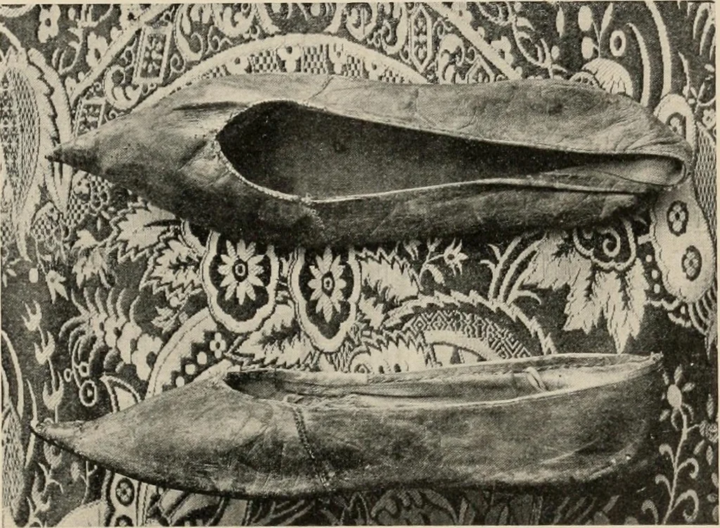 An illustration from Two centuries of costume in America, MDCXX-MDCCCXX, 1903, leaf 470