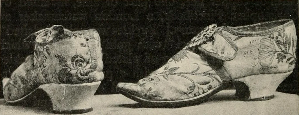 An illustration from Two centuries of costume in America, MDCXX-MDCCCXX, 1903, leaf 479