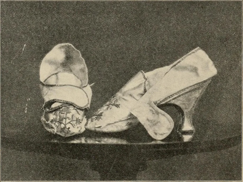 An illustration from Two centuries of costume in America, MDCXX-MDCCCXX, 1903, leaf 484