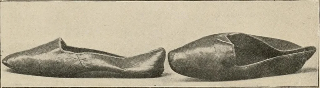 An illustration from Two centuries of costume in America, MDCXX-MDCCCXX, 1903, leaf 486