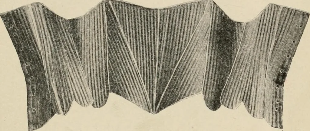 An illustration from Two centuries of costume in America, MDCXX-MDCCCXX, 1903, leaf 178