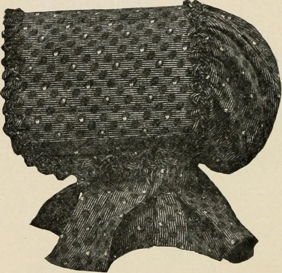 An illustration from Two centuries of costume in America, MDCXX-MDCCCXX, 1903, leaf 289