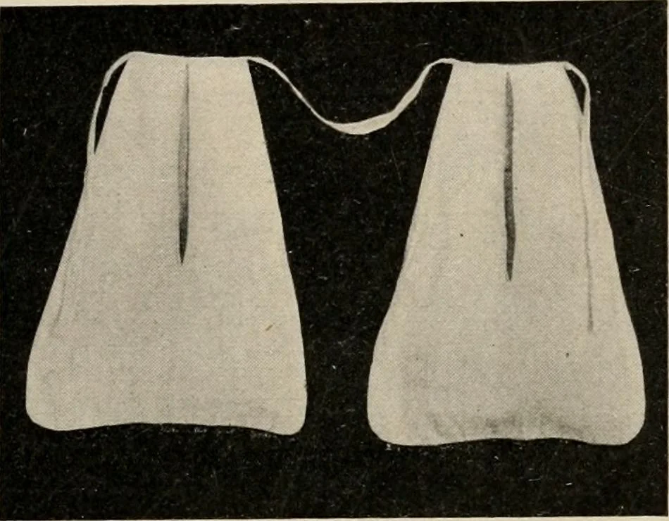An illustration from Two centuries of costume in America, MDCXX-MDCCCXX, 1903, leaf 294