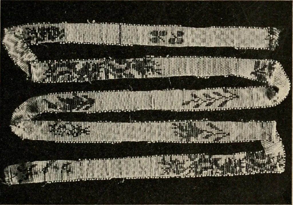 An illustration from Two centuries of costume in America, MDCXX-MDCCCXX, 1903, leaf 300