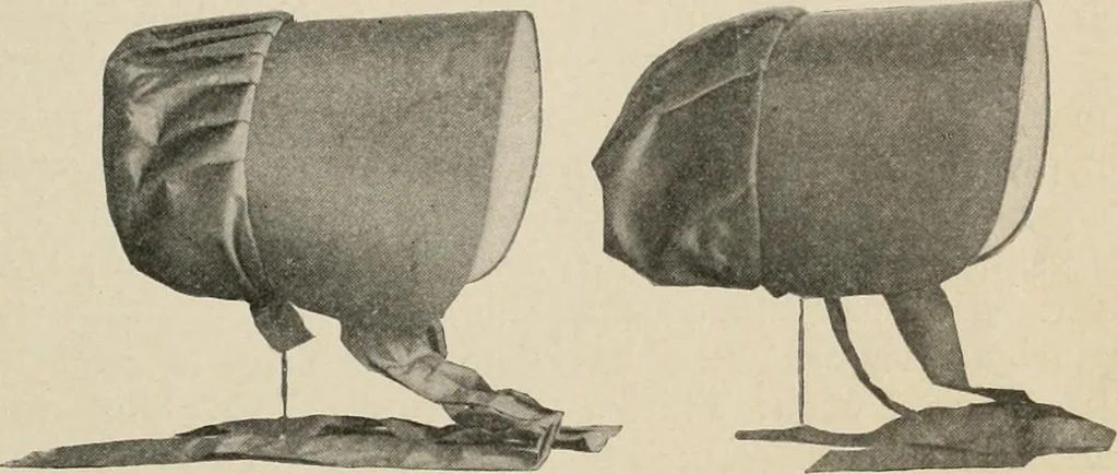 An illustration from Two centuries of costume in America, MDCXX-MDCCCXX, 1903, leaf 318