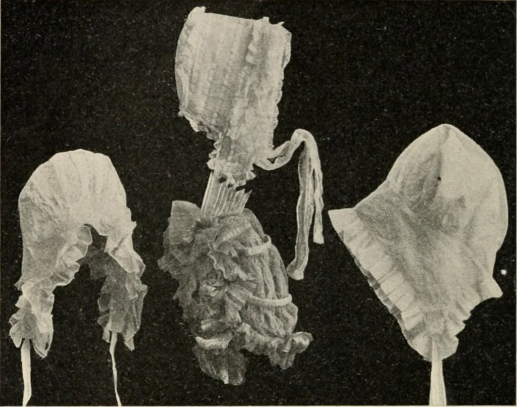 An illustration from Two centuries of costume in America, MDCXX-MDCCCXX, 1903, leaf 357