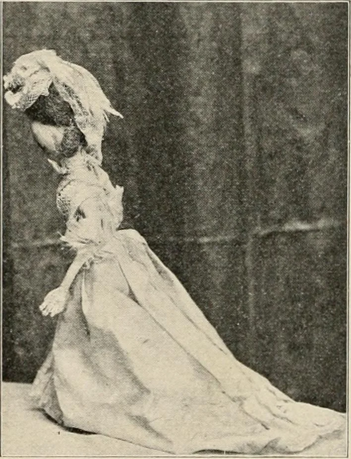 An illustration from Two centuries of costume in America, MDCXX-MDCCCXX, 1903, leaf 381