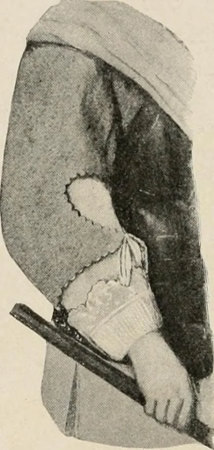 An illustration from Two centuries of costume in America, MDCXX-MDCCCXX, 1903, leaf 407