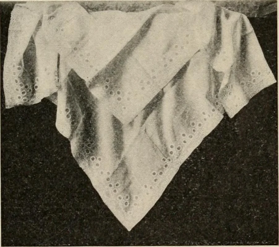 An illustration from Two centuries of costume in America, MDCXX-MDCCCXX, 1903, leaf 428
