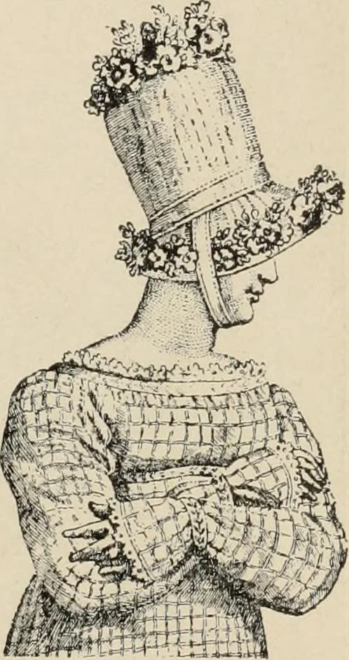 An illustration from Two centuries of costume in America, MDCXX-MDCCCXX, 1903, leaf 502