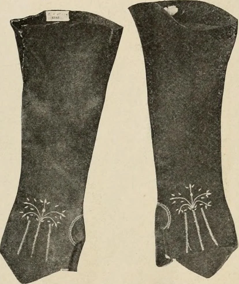 An illustration from Two centuries of costume in America, MDCXX-MDCCCXX, 1903, leaf 556