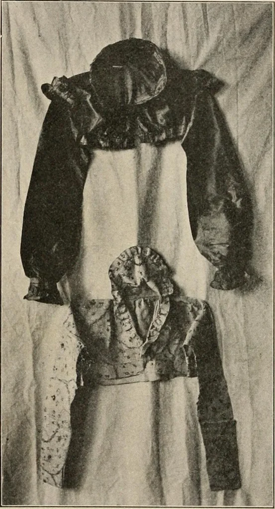 An illustration from Two centuries of costume in America, MDCXX-MDCCCXX, 1903, leaf 557