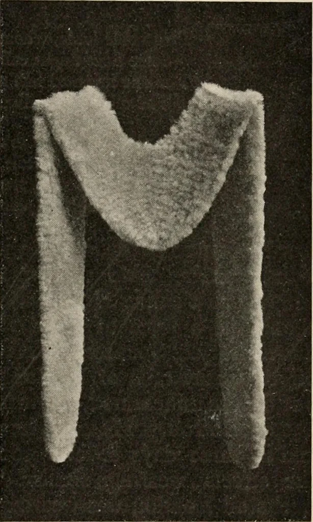 An illustration from Two centuries of costume in America, MDCXX-MDCCCXX, 1903, leaf 560