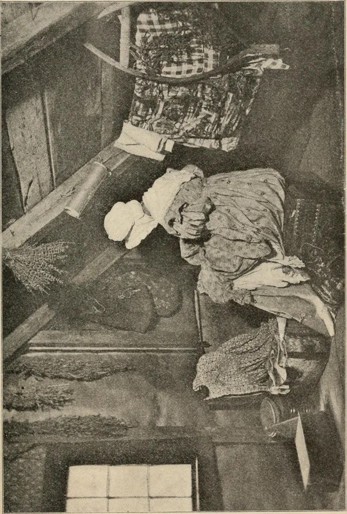 An illustration from Two centuries of costume in America, MDCXX-MDCCCXX, 1903, leaf 568