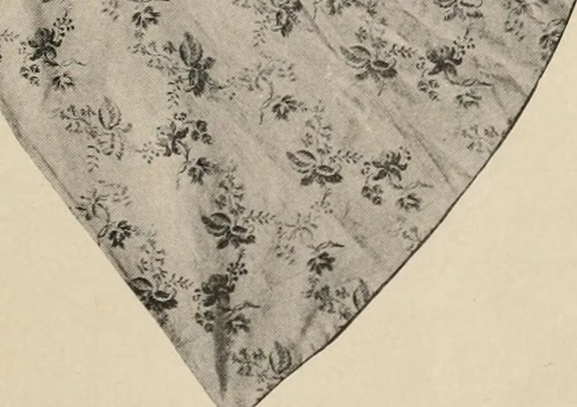 An illustration from Two centuries of costume in America, MDCXX-MDCCCXX, 1903, leaf 88